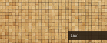 broDesign Edition One: Wood Mosaic - Lion (natural)